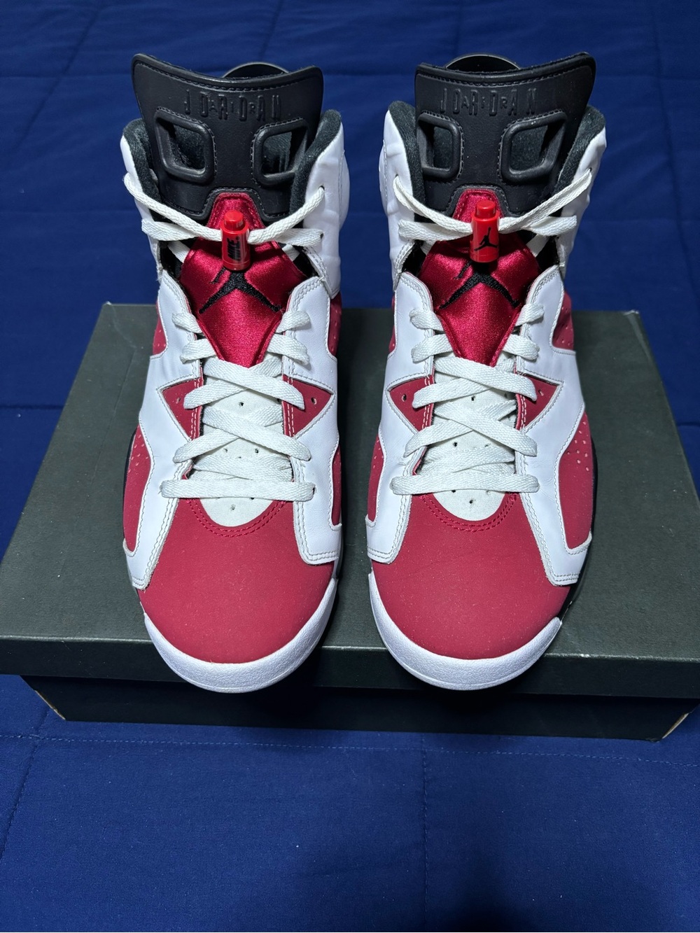 Jordan 6 Retro OG Carmine 2021 Size 10.5
